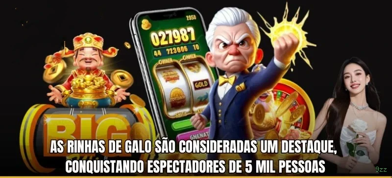 Plataforma 9zz